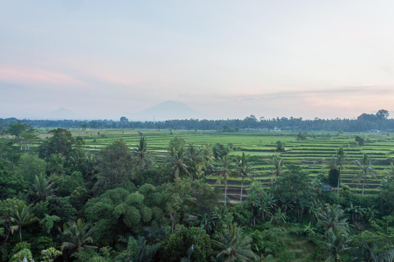Seres Springs Resort & Spa, Singakerta Ubud Exterior foto